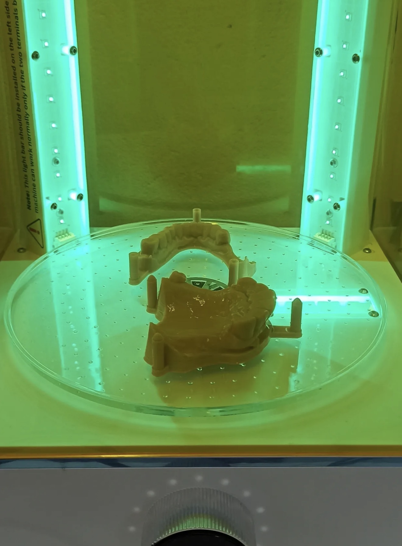 Modèle dentaire fraîchement imprimé en 3D sur plateau d'impression